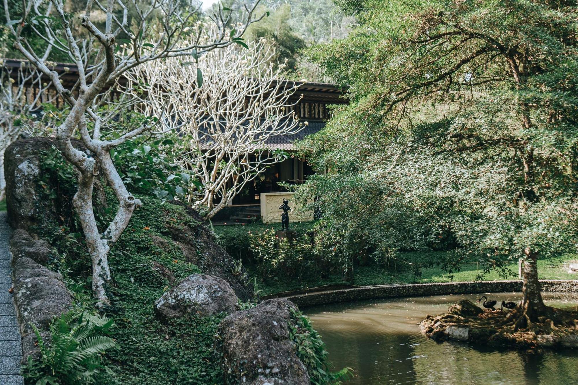 Dua Dari, A Residence By Hadiprana Ubud Eksteriør billede